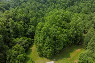 320 Board Tree Rd, Marshall, NC 28753 - Photo 4