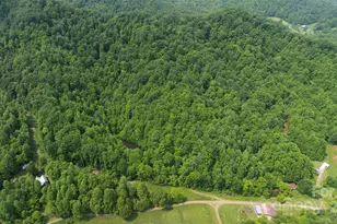 320 Board Tree Rd, Marshall, NC 28753 - Photo 16