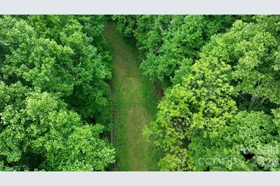 320 Board Tree Road, Marshall, NC 28753 - Photo 10