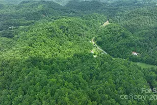 320 Board Tree Rd, Marshall, NC 28753 - Photo 10