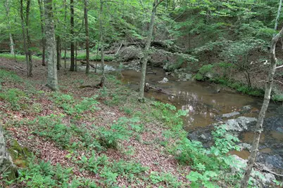 320 Estes Farm Trail, Eden, NC 27288 - Photo 26