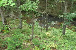 320 Estes Farm Trail, Eden, NC 27288 - Photo 24