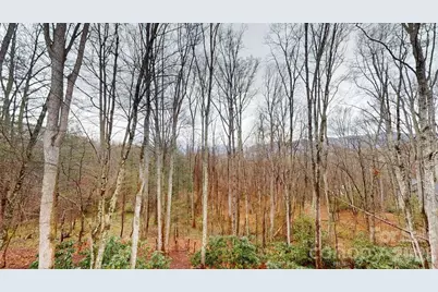 55 Highland Drive, Black Mountain, NC 28711 - Photo 46