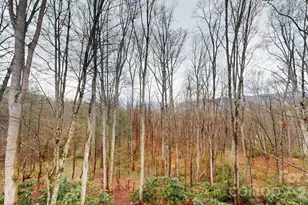 55 Highland Dr, Black Mountain, NC 28711 - Photo 46