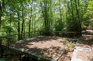 1000 Sutton Creek Rd, Pisgah Forest, NC 28768 - Photo 6