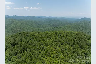 1000 Sutton Creek Road, Pisgah Forest, NC 28768 - Photo 22