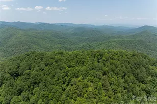 1000 Sutton Creek Rd, Pisgah Forest, NC 28768 - Photo 22