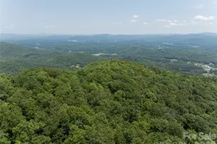 1000 Sutton Creek Rd, Pisgah Forest, NC 28768 - Photo 24