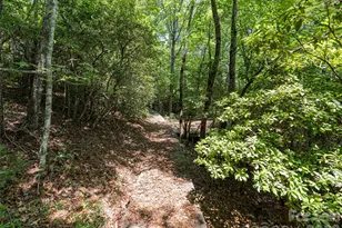 1000 Sutton Creek Rd, Pisgah Forest, NC 28768 - Photo 10