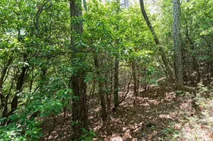 1000 Sutton Creek Rd, Pisgah Forest, NC 28768 - Photo 8