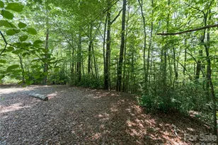 1000 Sutton Creek Rd, Pisgah Forest, NC 28768 - Photo 18