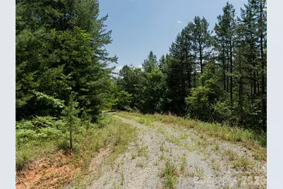 1000 Sutton Creek Road, Pisgah Forest, NC 28768 - Photo 20