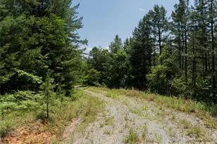 1000 Sutton Creek Rd, Pisgah Forest, NC 28768 - Photo 20