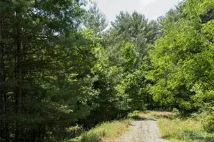 1000 Sutton Creek Rd, Pisgah Forest, NC 28768 - Photo 20