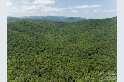 1000 Sutton Creek Road, Pisgah Forest, NC 28768 - Photo 28