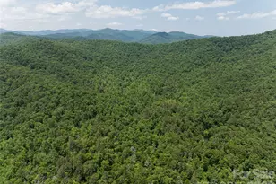 1000 Sutton Creek Rd, Pisgah Forest, NC 28768 - Photo 28