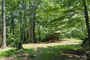 1000 Sutton Creek Rd, Pisgah Forest, NC 28768 - Photo 4