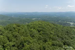 1000 Sutton Creek Rd, Pisgah Forest, NC 28768 - Photo 28