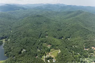 1000 Sutton Creek Rd, Pisgah Forest, NC 28768 - Photo 30