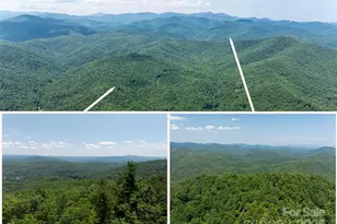 1000 Sutton Creek Rd, Pisgah Forest, NC 28768 - Photo 2