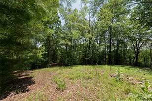 1000 Sutton Creek Rd, Pisgah Forest, NC 28768 - Photo 14
