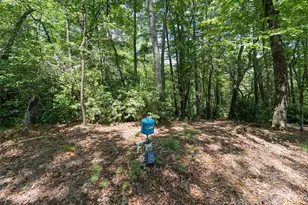 1000 Sutton Creek Rd, Pisgah Forest, NC 28768 - Photo 14