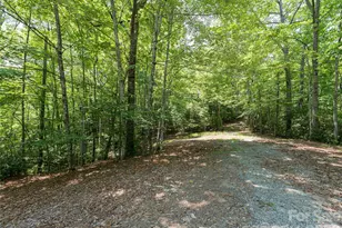 1000 Sutton Creek Rd, Pisgah Forest, NC 28768 - Photo 16