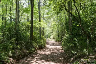 1000 Sutton Creek Rd, Pisgah Forest, NC 28768 - Photo 4