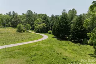 173 Avery Creek Rd, Arden, NC 28704 - Photo 18