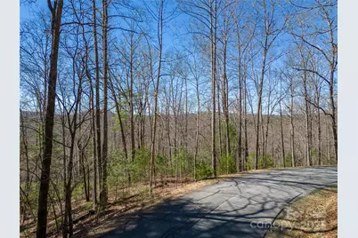 132 Overlook Park Drive #51, Hendersonville, NC 28792 - Photo 6