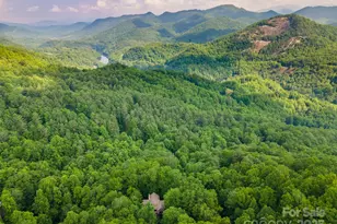 172 Juneberry Ln, Tuckasegee, NC 28783 - Photo 4