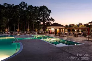 56113 Finches Ct, Indian Land, SC 29707 - Photo 36