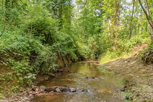 136 Old County Home Rd, Asheville, NC 28806 - Photo 28