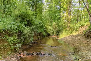 136 Old County Home Rd, Asheville, NC 28806 - Photo 28