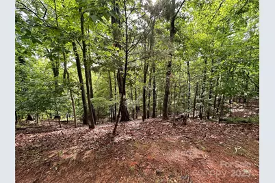 16086 Heron Run Drive, Fort Mill, SC 29708 - Photo 4