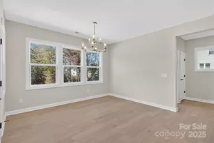 11009 Tyler Brook Ln, Mint Hill, NC 28227 - Photo 12