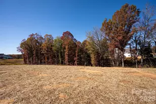 11009 Tyler Brook Ln, Mint Hill, NC 28227 - Photo 46