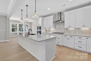 11009 Tyler Brook Ln, Mint Hill, NC 28227 - Photo 10