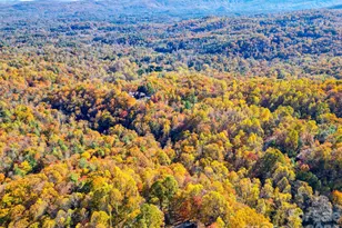 110 Spring Path, Hendersonville, NC 28739 - Photo 42