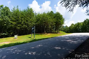 40 Deep Gap Farm Road E, Mill Spring, NC 28756 - Photo 6