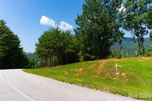 40 Deep Gap Farm Road E, Mill Spring, NC 28756 - Photo 6