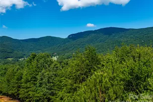 40 Deep Gap Farm Road E, Mill Spring, NC 28756 - Photo 10