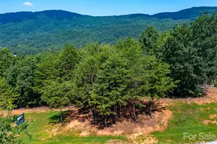 40 Deep Gap Farm Road E, Mill Spring, NC 28756 - Photo 10