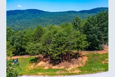 40 Deep Gap Farm Road E, Mill Spring, NC 28756 - Photo 8