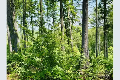 2.07 Acres, 2058 Thoroughbred Way #G16, Lenoir, NC 28645 - Photo 10