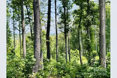 2.07 Acres, 2058 Thoroughbred Way #G16, Lenoir, NC 28645 - Photo 8