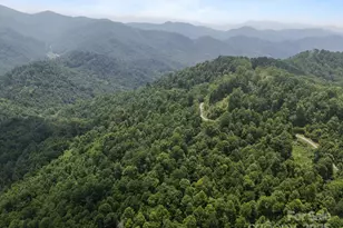 55 Red Wolf Run, Burnsville, NC 28714 - Photo 10