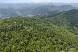 55 Red Wolf Run, Burnsville, NC 28714 - Photo 12