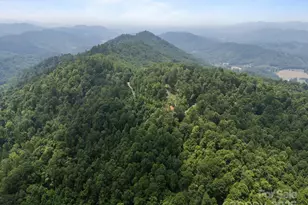 55 Red Wolf Run, Burnsville, NC 28714 - Photo 4