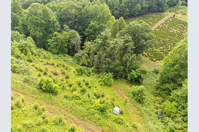 Tbd Finch Lane, Burnsville, NC 28714 - Photo 12